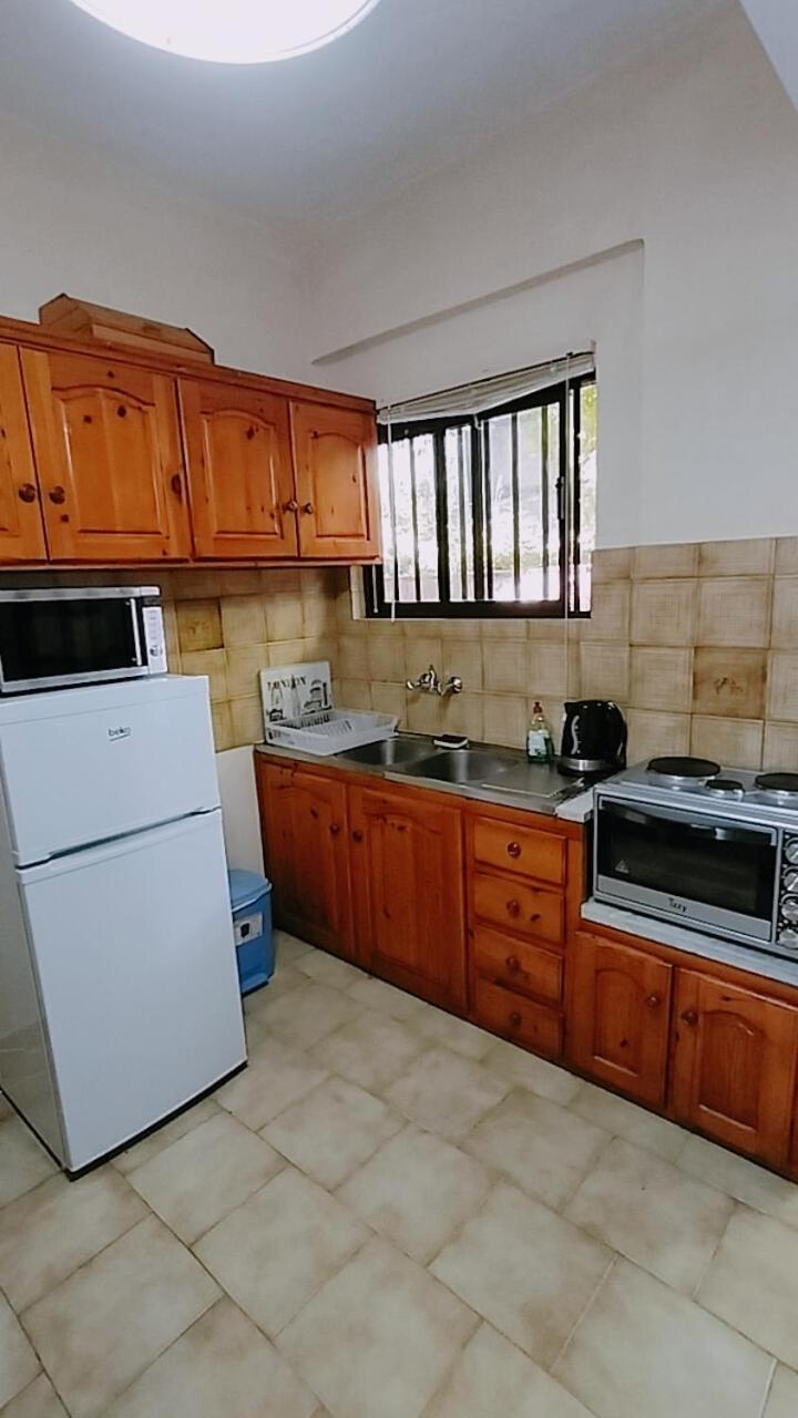 Apartment Vasiliki View *